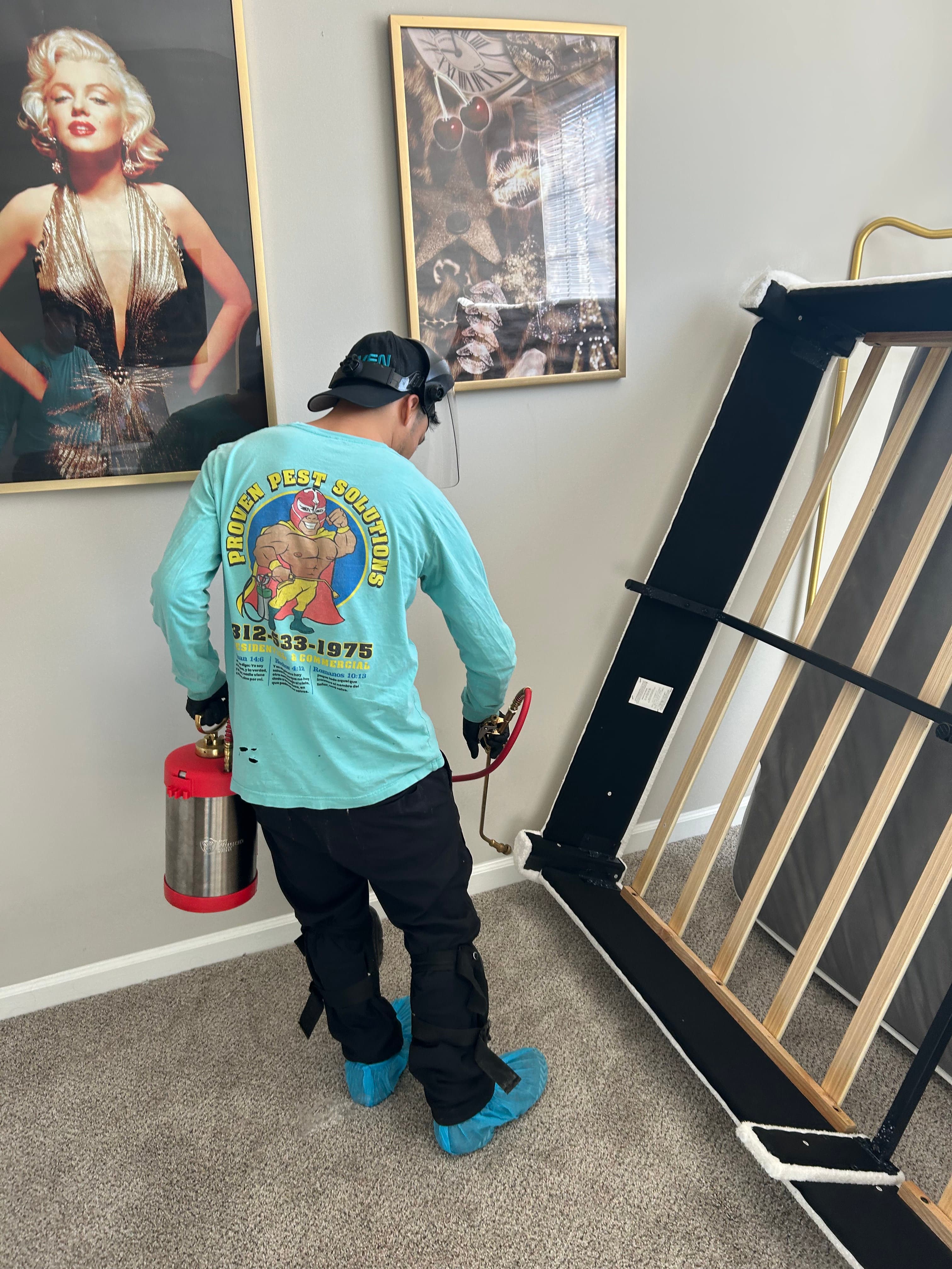 Bedbugs pest control