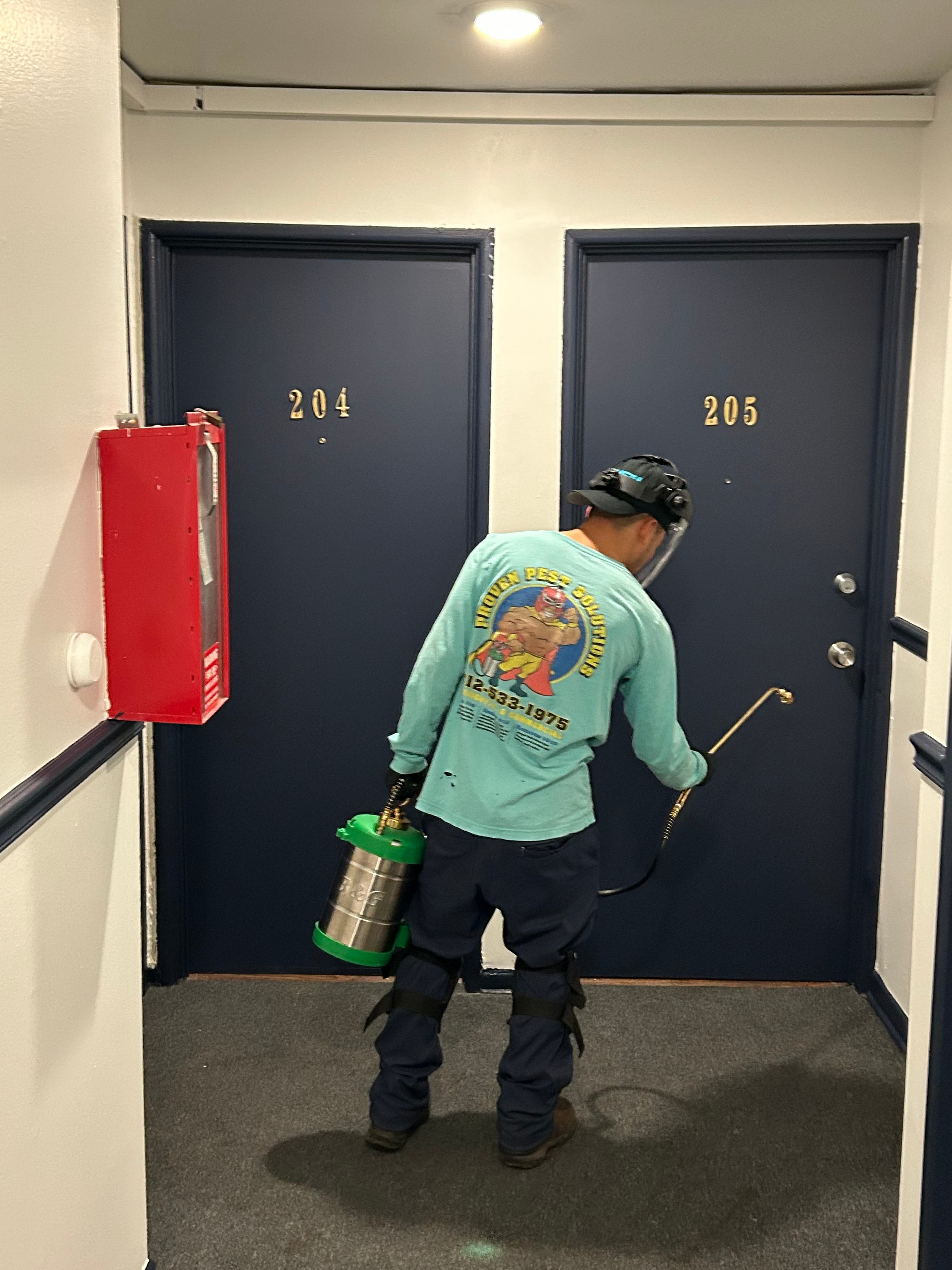 Roaches pest control