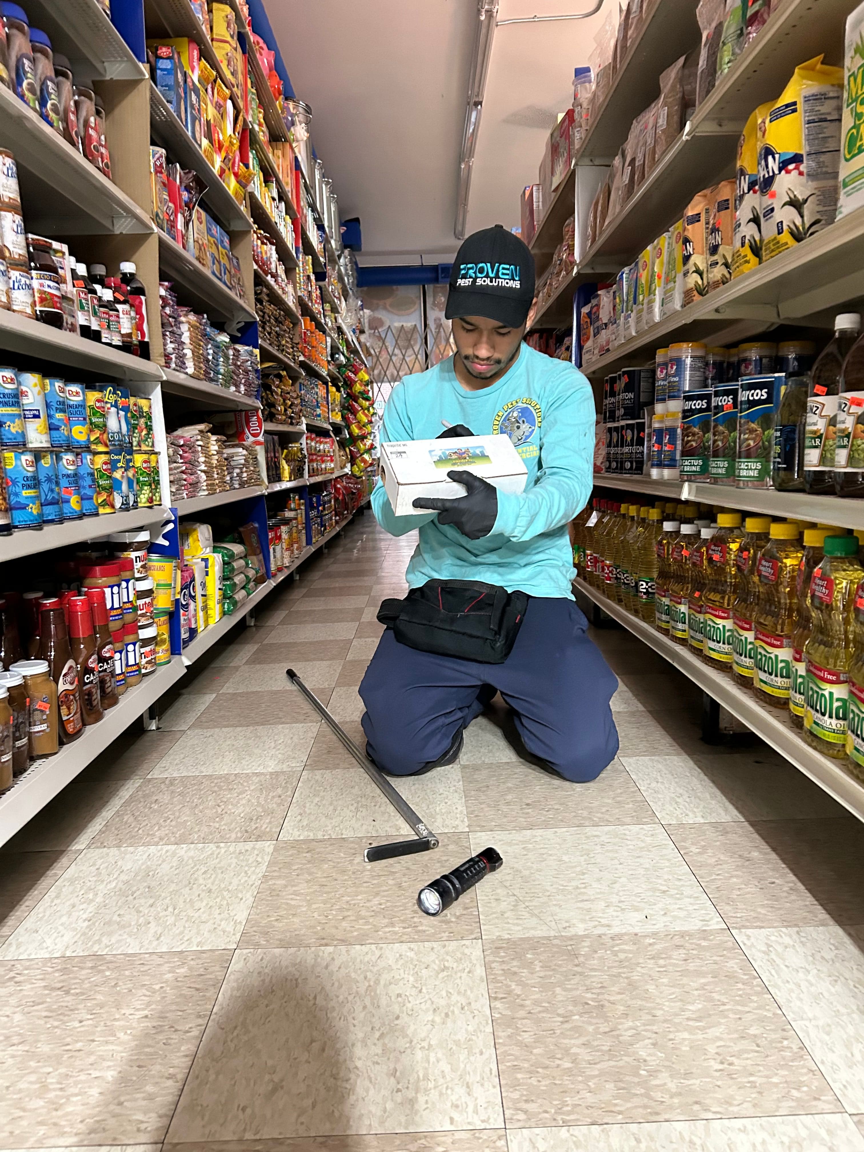 Rodents pest control